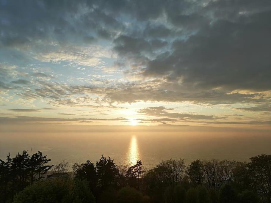 Magnifique Cocon Vue Mer Trouville-sur-Mer Dış mekan fotoğraf